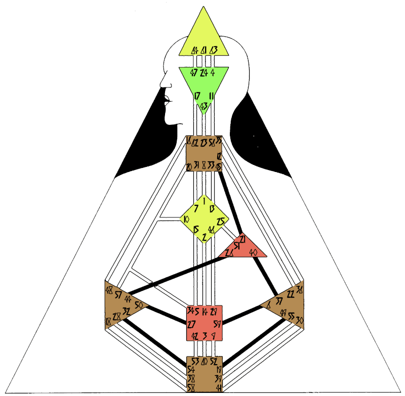 Human Design Circuit Tribe Blog